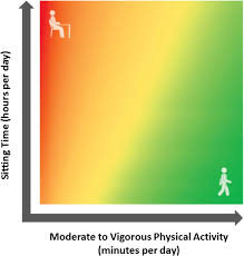 Sedentary Behavior and Health: Update from the 2018 Physical