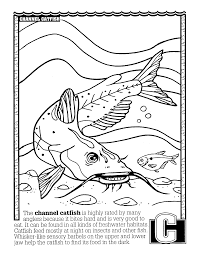 fws-abcs-of-fishing-coloring-book.pdf