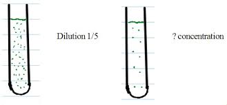Dilutions Help