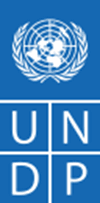 1 UNITED NATIONS DEVELOPMENT PROGRAMME TERM