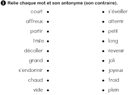 Vocabulaire CE1 : les synonymes et les antonymes.