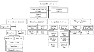 ics organizational structure and elements.pdf