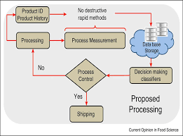 Process Analytical Technology in the Food Industry: Principles