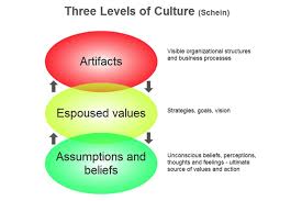 The Role of Organisational Culture in Shaping and Ensuring