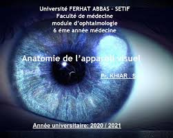 ANATOMIE DE LAppareil Visuel & Les Voies Optiques