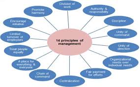 cbse class 12 business studies chapter – 2 principles of