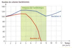 TP3 prof: Variation génétique bactérienne et résistance aux