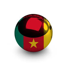 Les innovations de la loi de finances 2014 au Cameroun