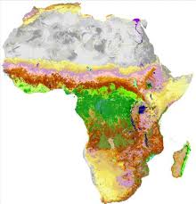 A LAND COVER MAP OF AFRICA CARTE DE LOCCUPATION DU