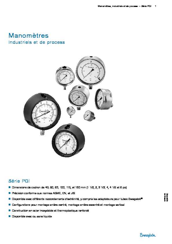 Manomètres Industriels et de process: Série PGI (MS-02-170;rev_U