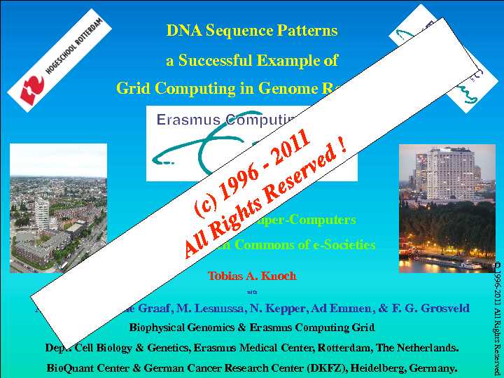 DNA Sequence Patterns a Successful Example of Grid Computing in