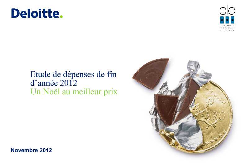 Etude de dépenses de fin dannée 2012 - Deloitte