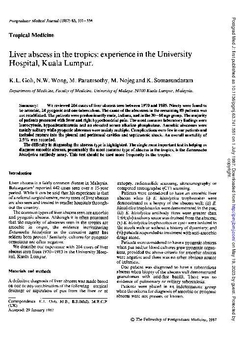 Liver abscess in the tropics: experience in the University Hospital
