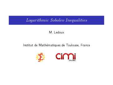 Logarithmic Sobolev Inequalities