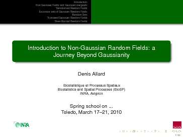 Introduction to Non-Gaussian Random Fields: a Journey Beyond