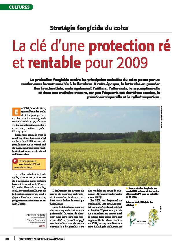 La clé dune protection ré et rentable pour 2009