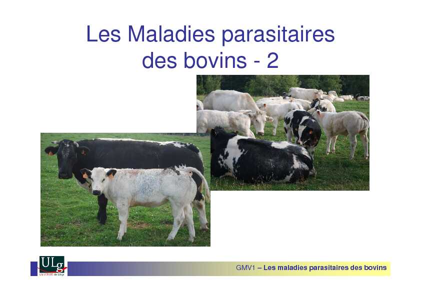 Les Maladies parasitaires des bovins - 2