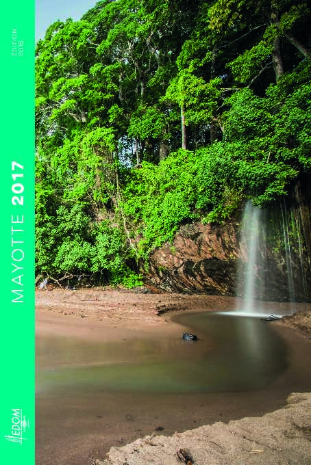 Rapport dactivité 2017 de Mayotte