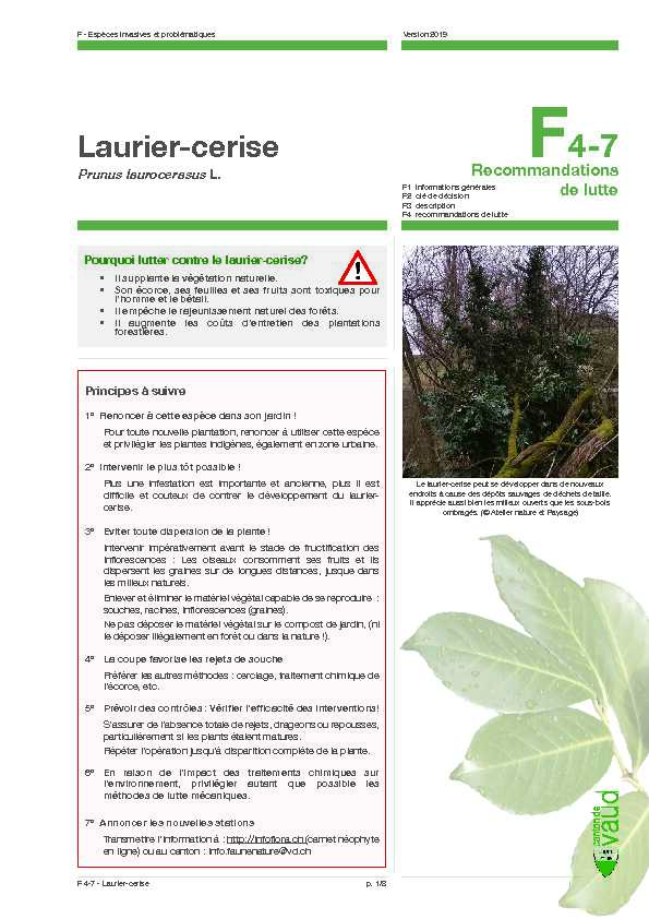 Laurier-cerise - Lutte