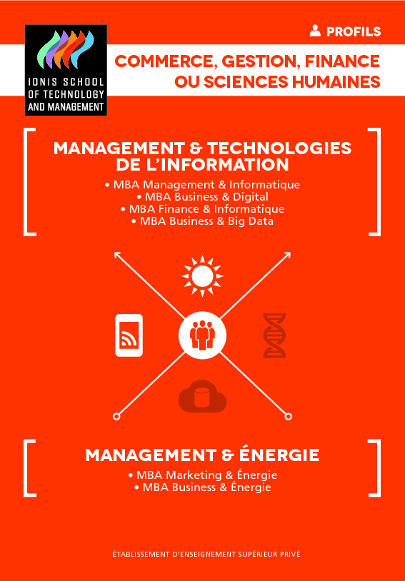 management & technologies de l'information