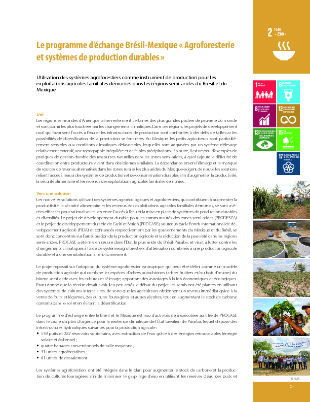 Agroforesterie et systèmes de production durables