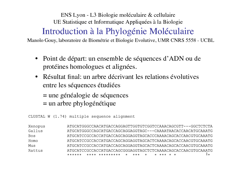 Introduction à la Phylogénie Moléculaire