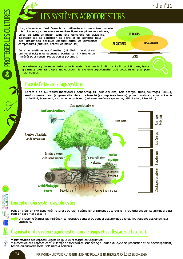 Les systèmes agroForestiers